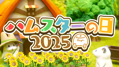 8月6日はハムスターの日🐹🌻